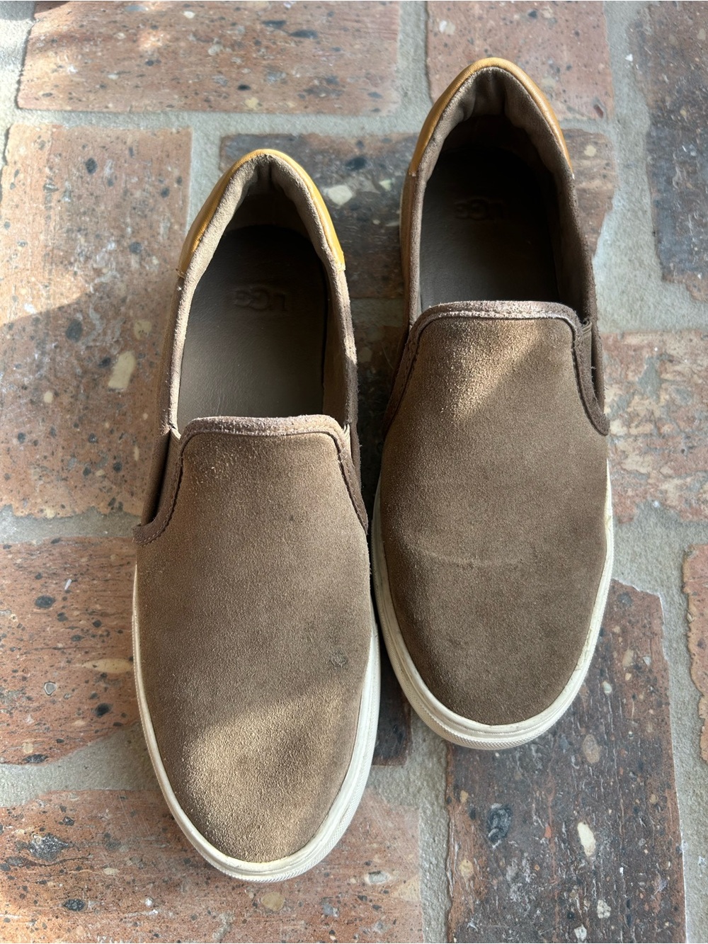 UGG Cahlvan slip-on sneakers in brown suede
